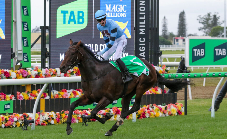 Jockey in blue silks riding a dark horse over a hurdle at a TAB-sponsored horse race with colorful flowers nearby.