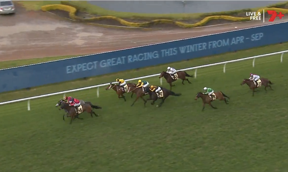Group of racing horses with jockeys in bright silks sprinting on a green turf track; a blue advertising banner runs along the inside rail.