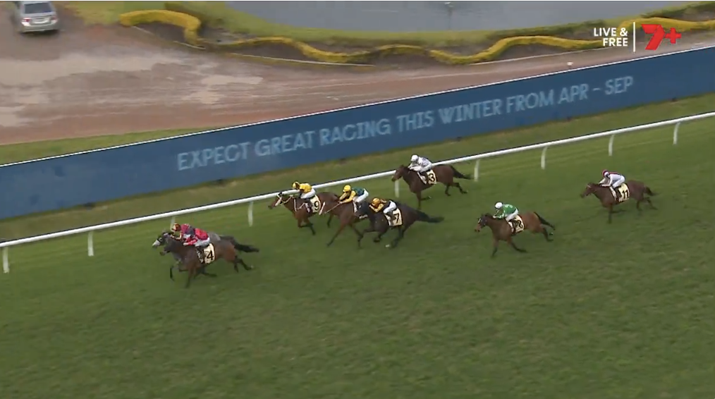 Group of racing horses with jockeys in bright silks sprinting on a green turf track; a blue advertising banner runs along the inside rail.