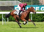 A jockey in maroon silks riding a brown racehorse mid-gallop on a turf track, number 11 on the saddle blanket.