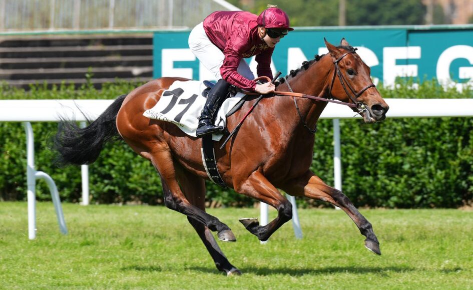 A jockey in maroon silks riding a brown racehorse mid-gallop on a turf track, number 11 on the saddle blanket.
