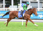 Jockey in green and blue-checkered silks rides a brown horse with saddlecloth number 8 during a turf horse race, green rail in background.