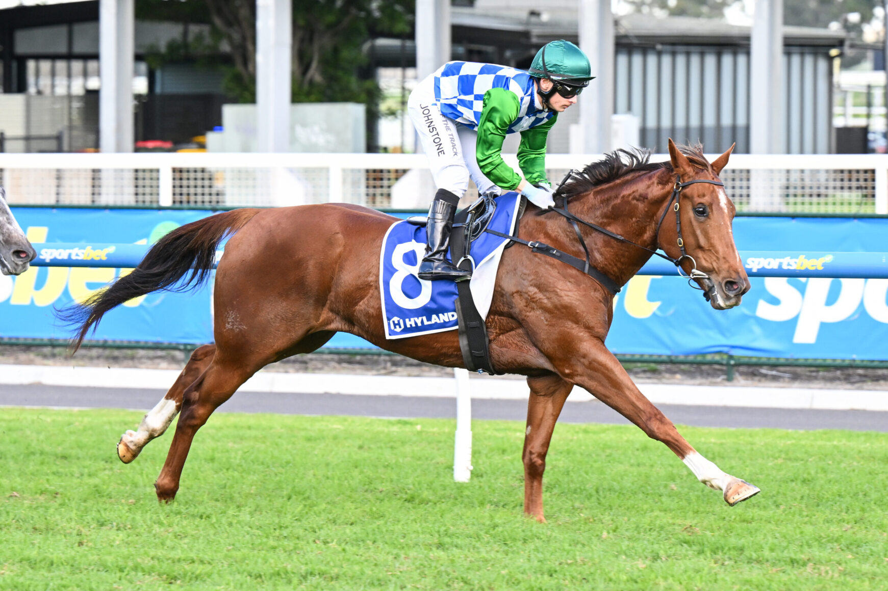 Jockey in green and blue-checkered silks rides a brown horse with saddlecloth number 8 during a turf horse race, green rail in background.