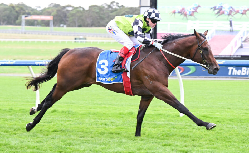 Horse race in progress: jockey leaning forward on a brown racehorse wearing blue bib number 3 and a neon green jacket, sprinting on a grass track with a blurred racetrack backdrop.