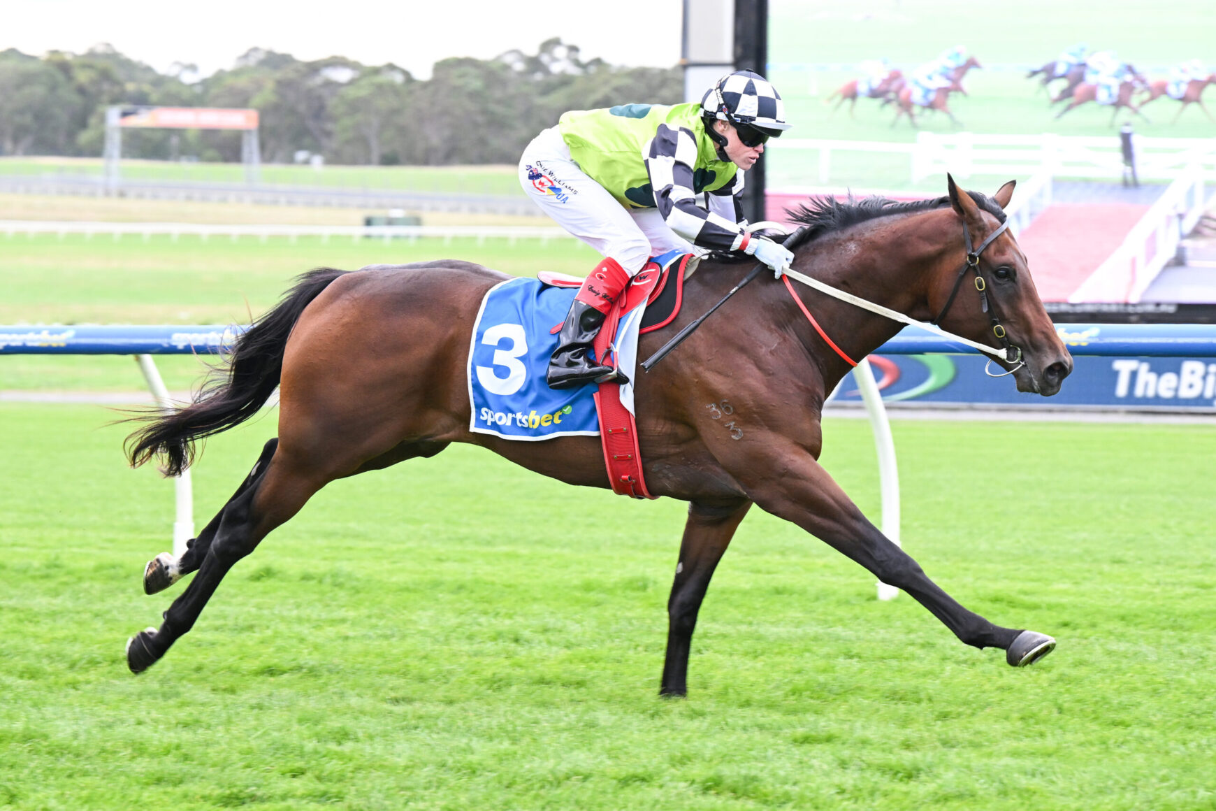 Horse race in progress: jockey leaning forward on a brown racehorse wearing blue bib number 3 and a neon green jacket, sprinting on a grass track with a blurred racetrack backdrop.