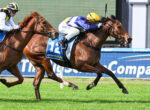Two racehorses sprint side by side on a green turf as jockeys in yellow-blue silks lean forward in a tight finish.