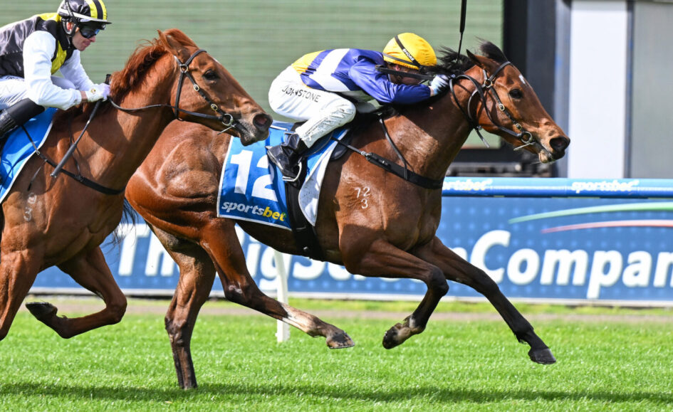 Two racehorses sprint side by side on a green turf as jockeys in yellow-blue silks lean forward in a tight finish.