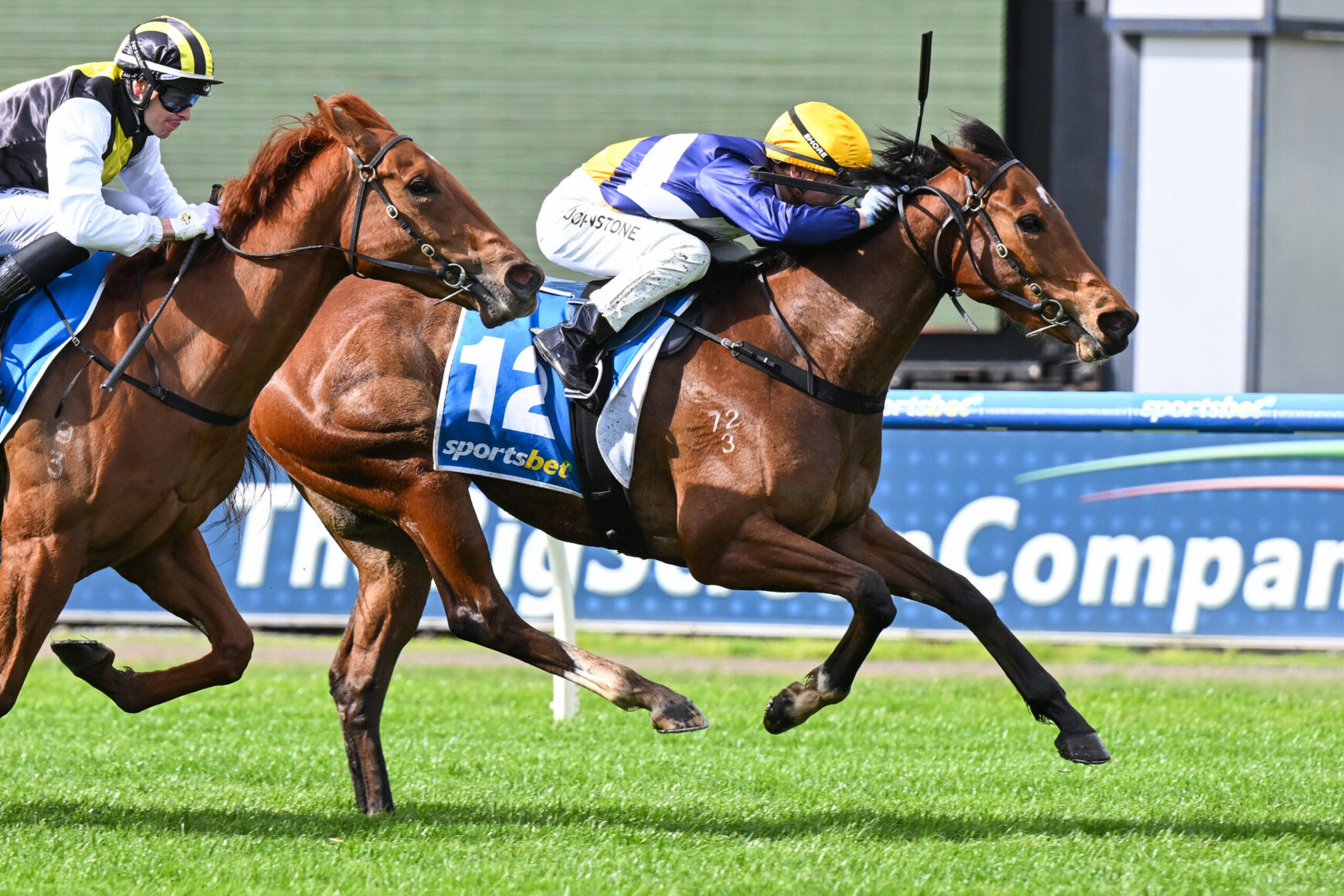 Two racehorses sprint side by side on a green turf as jockeys in yellow-blue silks lean forward in a tight finish.
