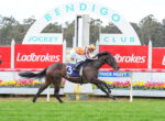 Jockey riding a dark horse speeding past red Ladbrokes banners at Bendigo Jockey Club racecourse archway in background, colorful floral barriers ahead