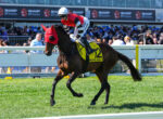 Jockey in red silks rides a dark horse (#12) on a sunny turf racetrack with a cheering crowd in the stands behind.