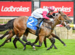 Two racehorses gallop neck-and-neck on a green track as a jockey in pink and white silks urges the lead horse, blue number 2 saddlecloth visible, Ladbrokes signs in the background.