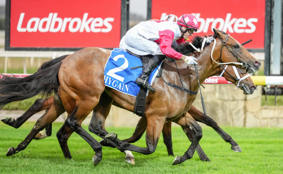 Two racehorses gallop neck-and-neck on a green track as a jockey in pink and white silks urges the lead horse, blue number 2 saddlecloth visible, Ladbrokes signs in the background.