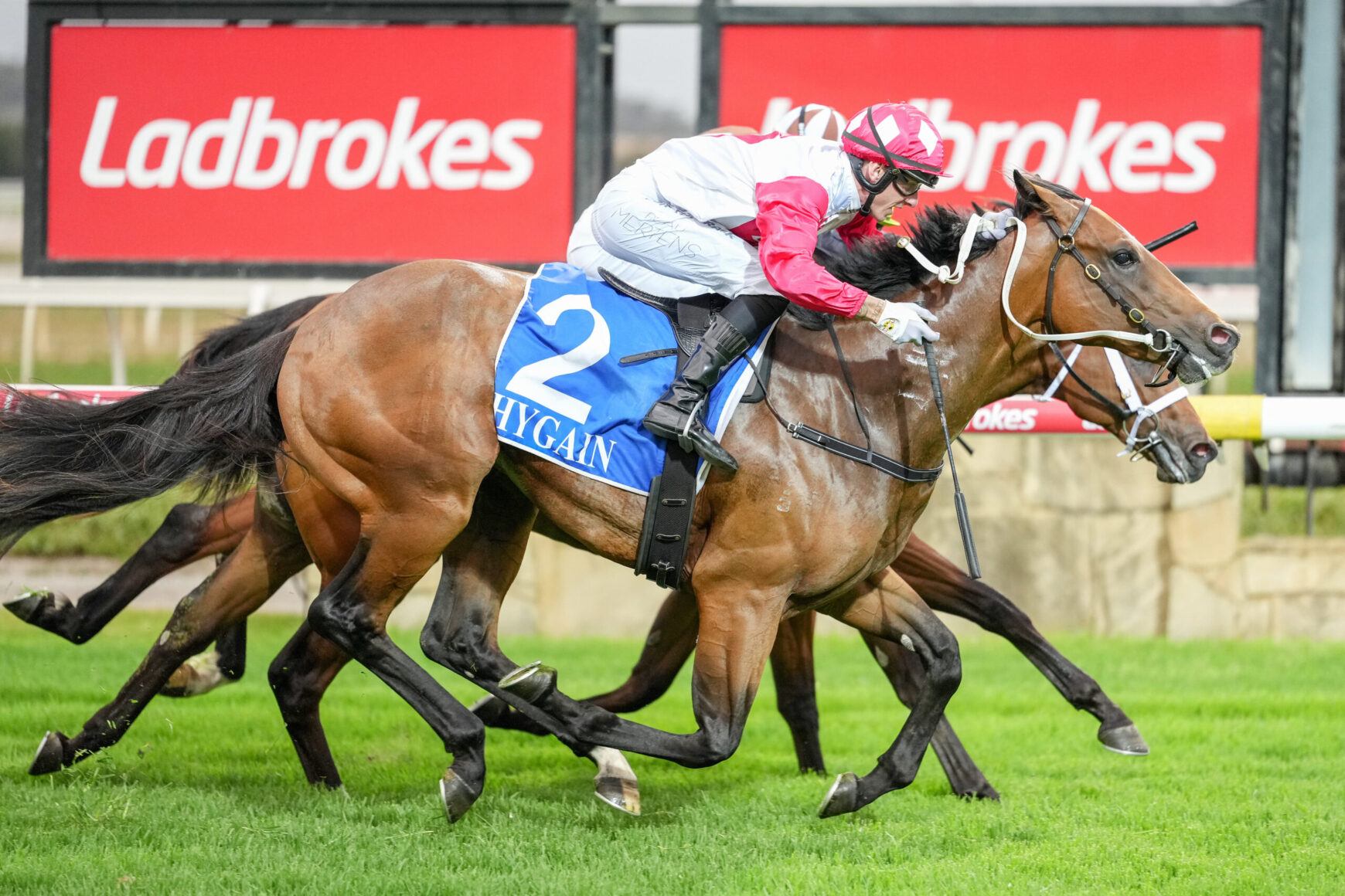 Two racehorses gallop neck-and-neck on a green track as a jockey in pink and white silks urges the lead horse, blue number 2 saddlecloth visible, Ladbrokes signs in the background.
