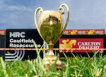 Golden trophy planted in grass at Caulfield Racecourse, with Carlton Draught banners in the background under a blue sky safety backdrop example?