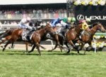 Group of thoroughbred horses race at full speed on a sunny turf track, jockeys in colorful silks leaning forward close behind the leading horse with number 12 saddle cloth visible.