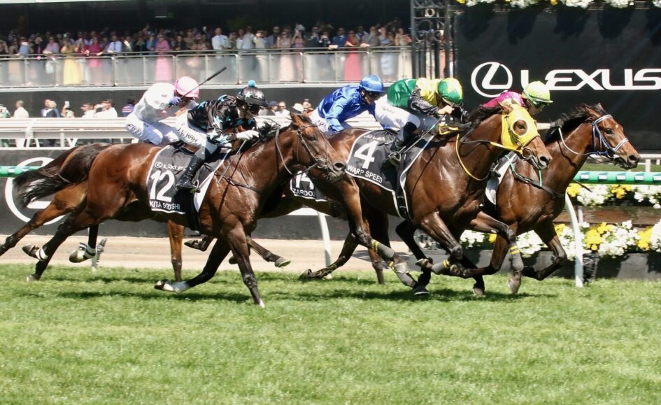 Group of thoroughbred horses race at full speed on a sunny turf track, jockeys in colorful silks leaning forward close behind the leading horse with number 12 saddle cloth visible.
