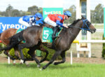 Two jockeys on racing horses sprinting side by side on a track, blue and red silks, green bet365 banner in background