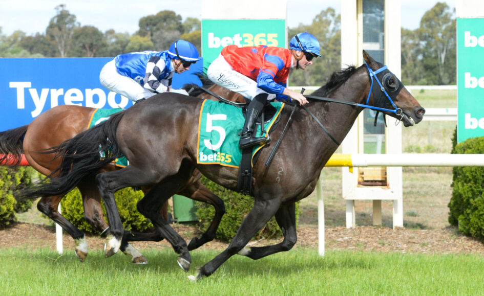 Two jockeys on racing horses sprinting side by side on a track, blue and red silks, green bet365 banner in background