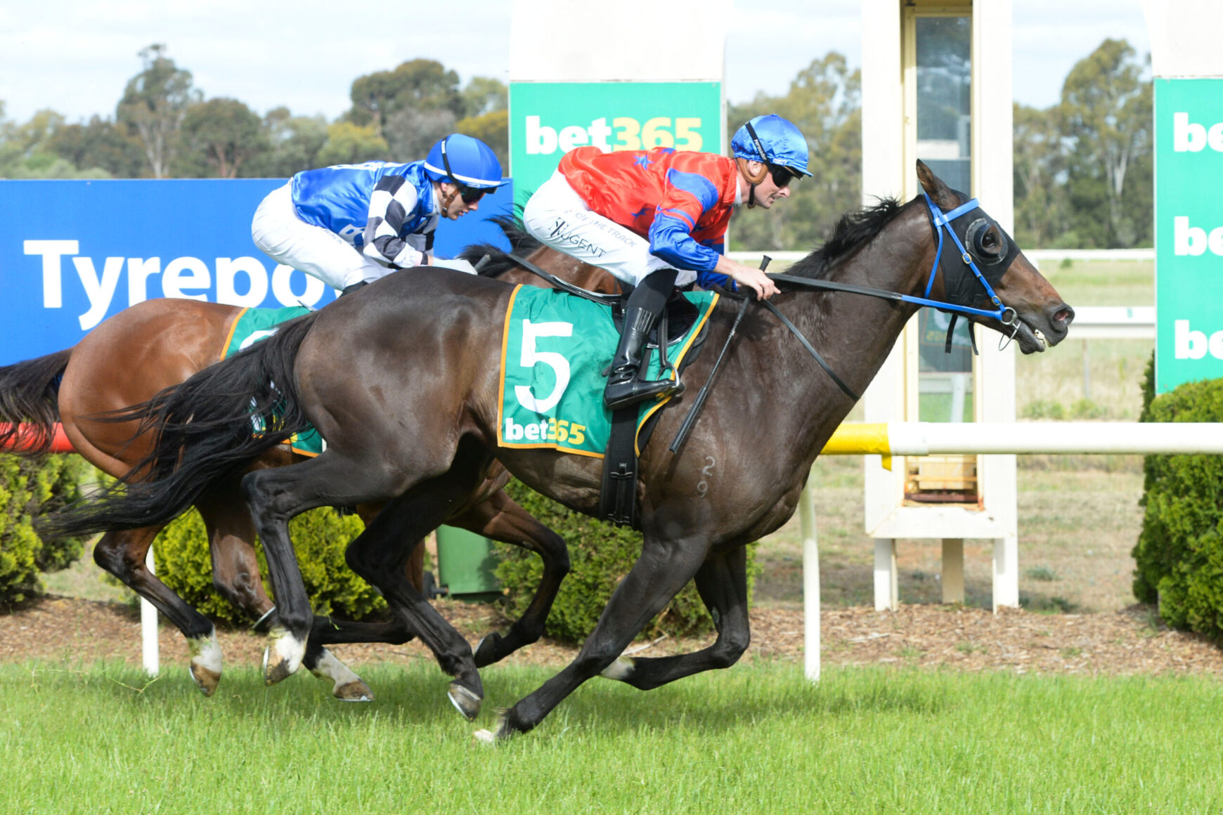 Two jockeys on racing horses sprinting side by side on a track, blue and red silks, green bet365 banner in background
